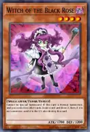 Witch of the Black Rose