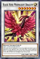 Black Rose Moonlight Dragon