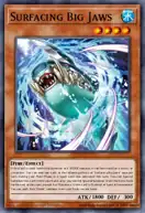 Surfacing Big Jaws