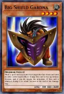 Big Shield Gardna