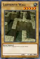 Labyrinth Wall