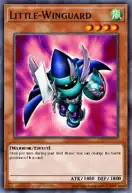 Little-Winguard